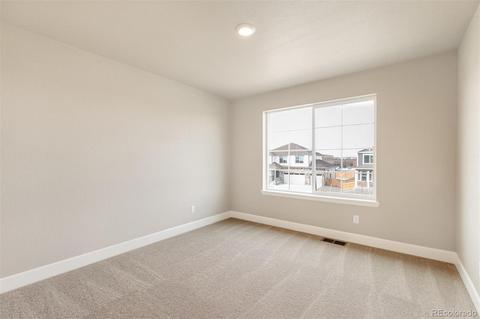 516 Fall River Ct, Brighton, CO 80601 photo 23