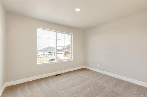 516 Fall River Ct, Brighton, CO 80601 photo 25