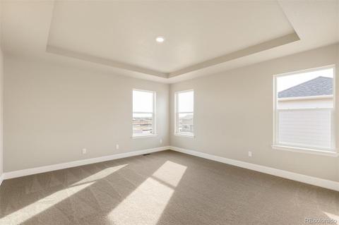 516 Fall River Ct, Brighton, CO 80601 photo 18
