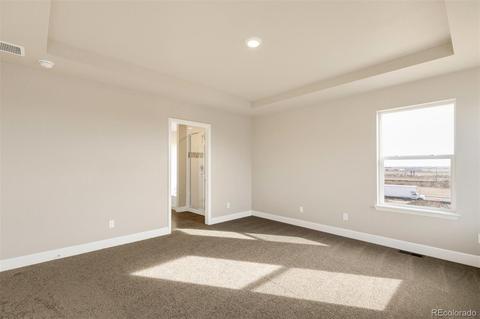 516 Fall River Ct, Brighton, CO 80601 photo 19