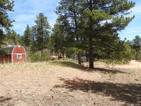 21 Appleby St, Bailey, CO 80421 photo 14