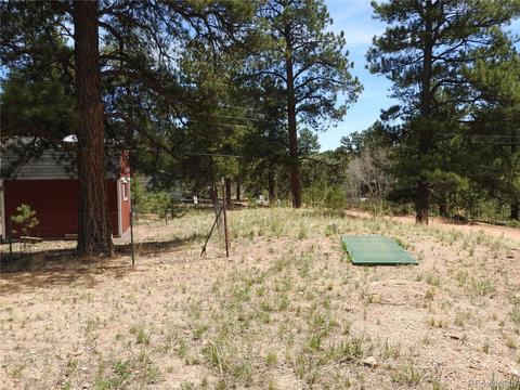 21 Appleby St, Bailey, CO 80421 photo 9