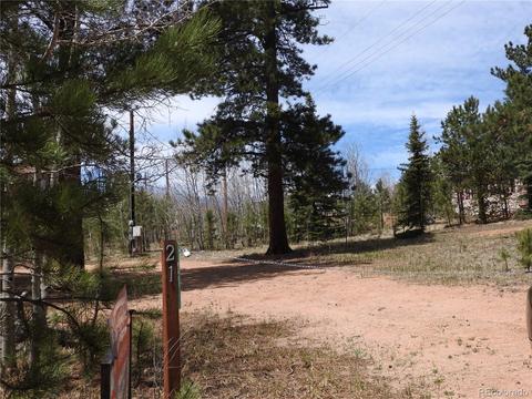 21 Appleby St, Bailey, CO 80421 photo 21