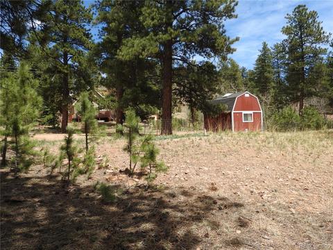 21 Appleby St, Bailey, CO 80421 photo 12