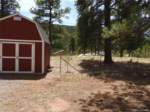 21 Appleby St, Bailey, CO 80421 photo 8
