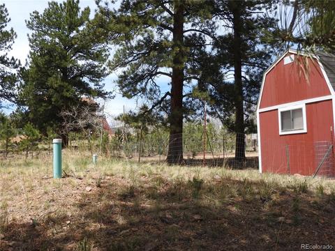 21 Appleby St, Bailey, CO 80421 photo 16