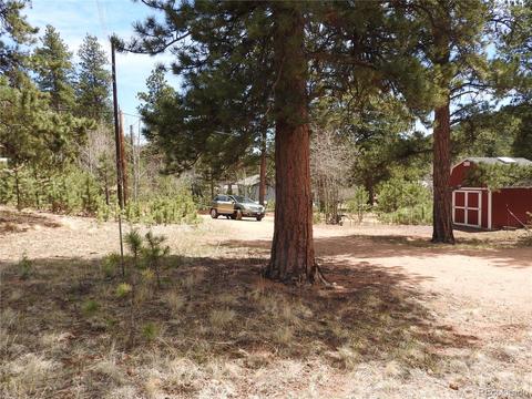 21 Appleby St, Bailey, CO 80421 photo 7
