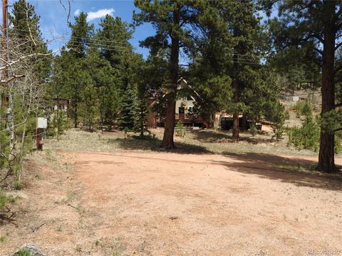 21 Appleby St, Bailey, CO 80421 photo 11