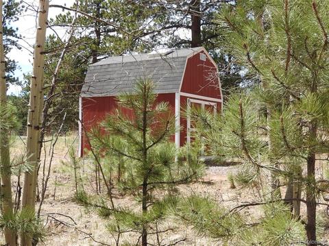21 Appleby St, Bailey, CO 80421 photo 22