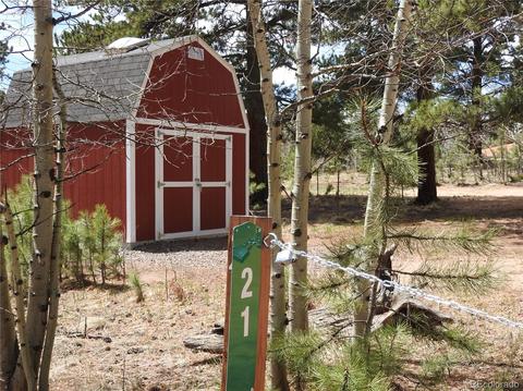 21 Appleby St, Bailey, CO 80421 photo 19