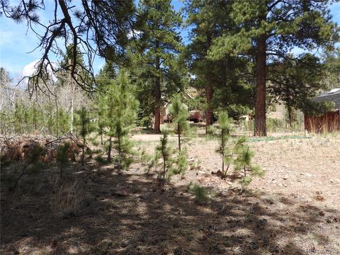 21 Appleby St, Bailey, CO 80421 photo 13