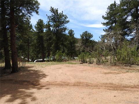 21 Appleby St, Bailey, CO 80421 photo 4