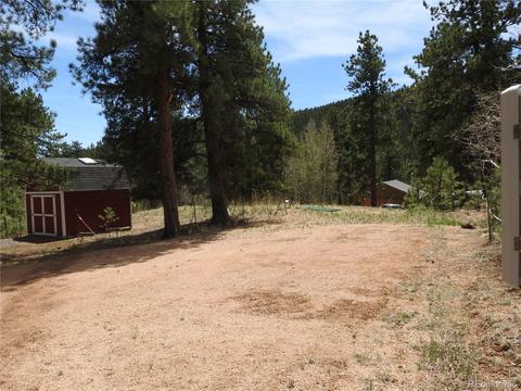 21 Appleby St, Bailey, CO 80421 photo 5