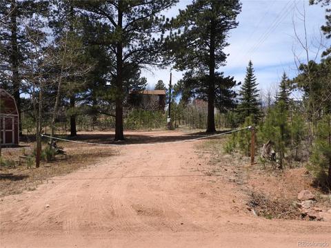 21 Appleby St, Bailey, CO 80421 photo 23