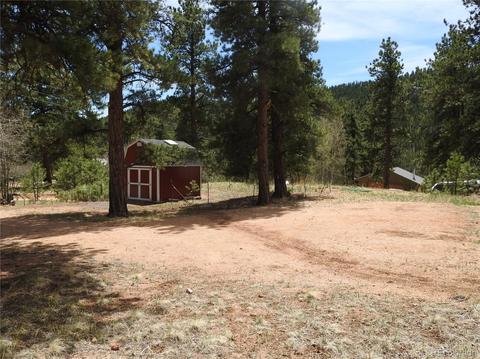 21 Appleby St, Bailey, CO 80421 photo 1
