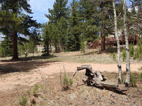 21 Appleby St, Bailey, CO 80421 photo 18