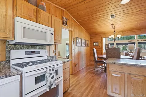 124 Prospectors Way, Bailey, CO 80421 photo 25