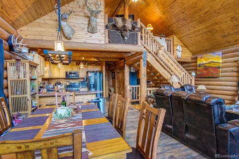 33 Kenosha Cir, Divide, CO 80814 photo 8