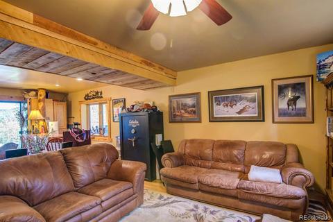 33 Kenosha Cir, Divide, CO 80814 photo 28