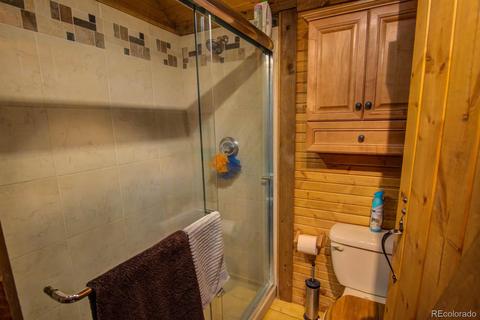 33 Kenosha Cir, Divide, CO 80814 photo 23