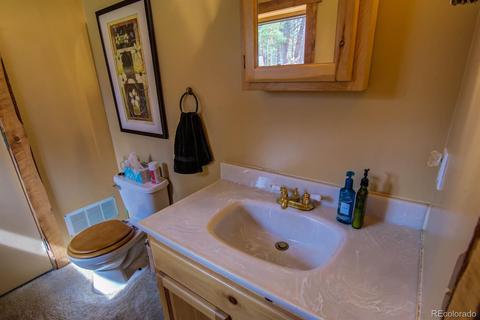 33 Kenosha Cir, Divide, CO 80814 photo 25