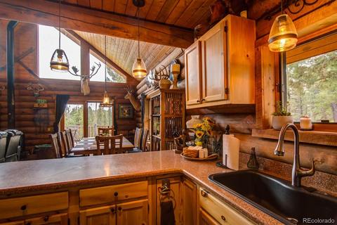 33 Kenosha Cir, Divide, CO 80814 photo 10