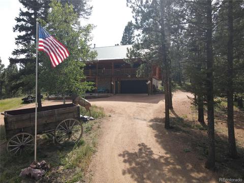 33 Kenosha Cir, Divide, CO 80814 photo 33
