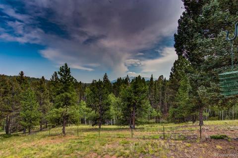 33 Kenosha Cir, Divide, CO 80814 photo 15