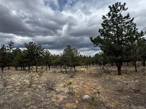 30583 Timberline Dr, Buena Vista, CO 81211