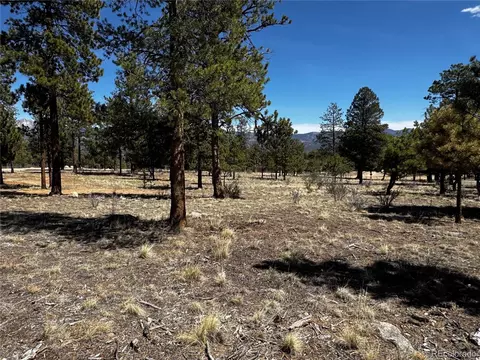 30583 Timberline Dr, Buena Vista, CO 81211