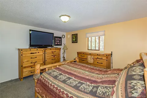 269 Oxbo Way, Divide, CO 80814 photo 21