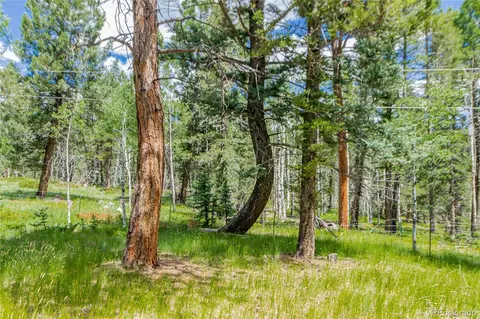 269 Oxbo Way, Divide, CO 80814 photo 36