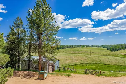 269 Oxbo Way, Divide, CO 80814 photo 31