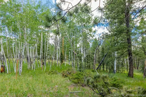 269 Oxbo Way, Divide, CO 80814 photo 37