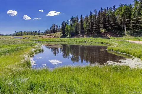 269 Oxbo Way, Divide, CO 80814 photo 4