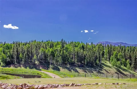 269 Oxbo Way, Divide, CO 80814 photo 30