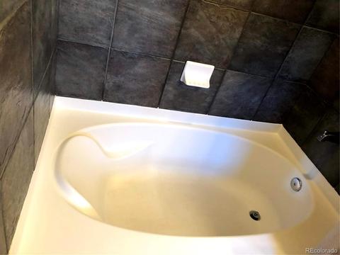 8723 E 29th Pl, Denver, CO 80238 photo 26
