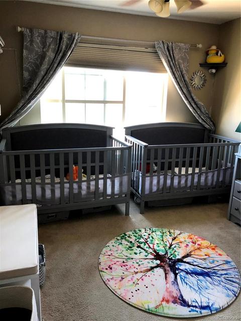 8723 E 29th Pl, Denver, CO 80238 photo 28