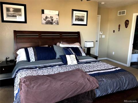 8723 E 29th Pl, Denver, CO 80238 photo 19