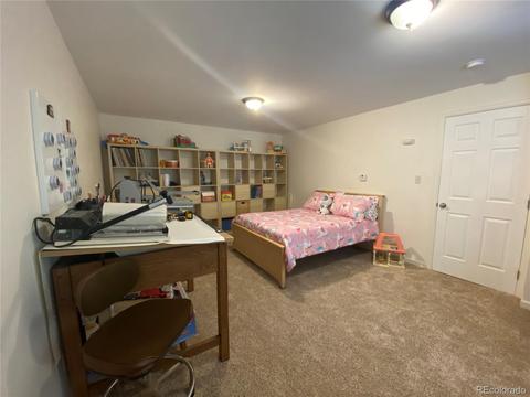 1101 Biddle St, Georgetown, CO 80444 photo 28