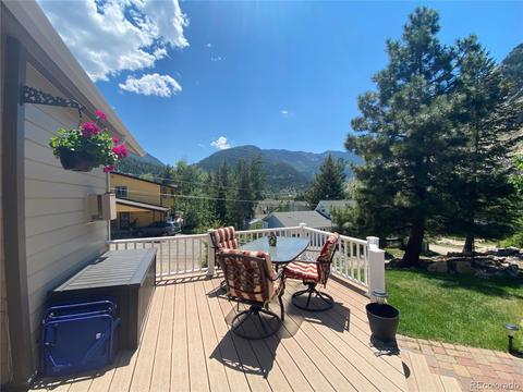 1101 Biddle St, Georgetown, CO 80444 photo 10