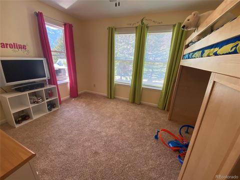 1101 Biddle St, Georgetown, CO 80444 photo 23