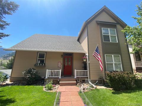 1101 Biddle St, Georgetown, CO 80444 photo 33