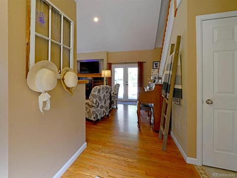 1101 Biddle St, Georgetown, CO 80444 photo 3