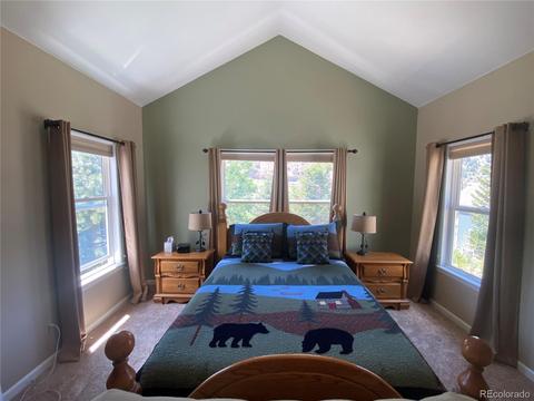 1101 Biddle St, Georgetown, CO 80444 photo 16