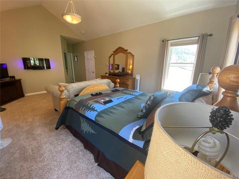 1101 Biddle St, Georgetown, CO 80444 photo 17