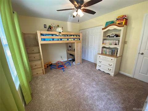 1101 Biddle St, Georgetown, CO 80444 photo 22
