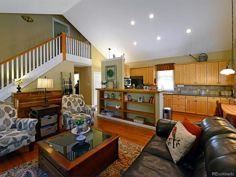 1101 Biddle St, Georgetown, CO 80444 photo 14