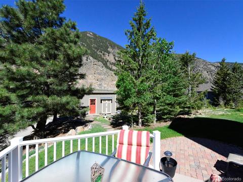 1101 Biddle St, Georgetown, CO 80444 photo 11