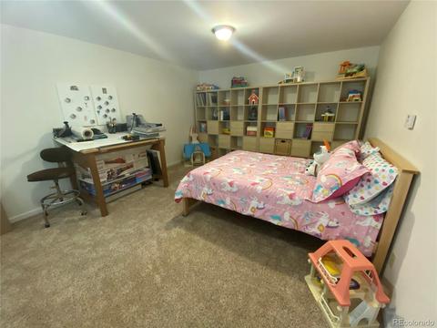 1101 Biddle St, Georgetown, CO 80444 photo 27